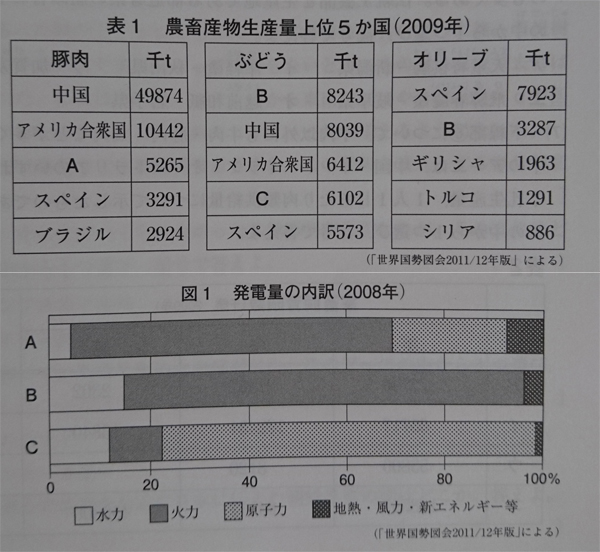 中学　社会　問題演習　農畜産物生産量上位5か国とイタリア・ドイツ・フランスの発電量内訳