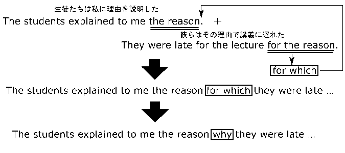 高校　英語　問題演習　関係副詞whyの成り立ち