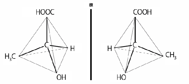 高校　化学　問題演習　光学異性体の関係の図