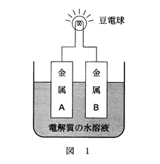 高校　化学　問題演習　電解質の水溶液に浸した金属板で作った電池の図