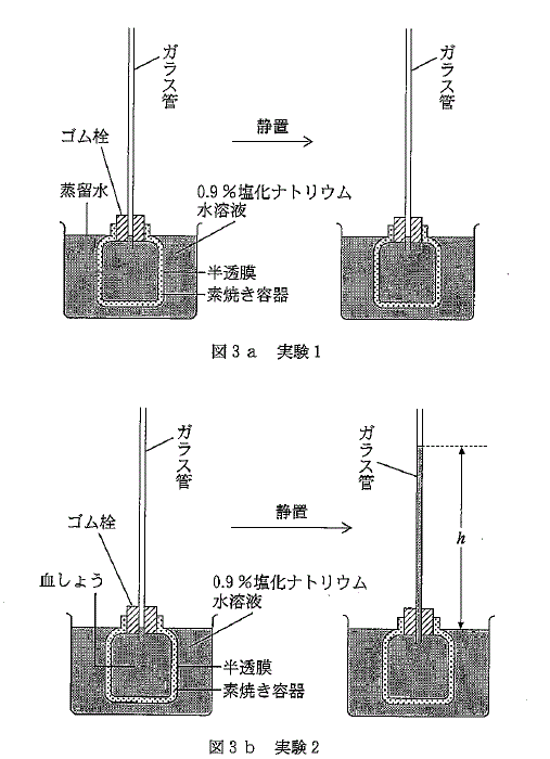 高校　化学　問題演習　溶液の浸透圧に関する実験の図