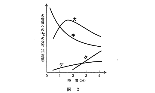 高校　生物　問題演習　光合成により合成された化合物を示したグラフ