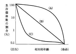 高校　生物　問題演習　生存曲線の図