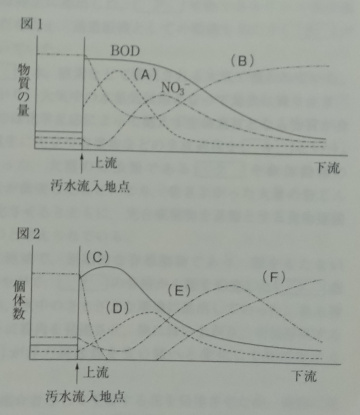 高校　生物　問題演習　自然浄化する河川に含まれる物質の変化を示したグラフと河川に生息する生物の個体数の変化を示したグラフ