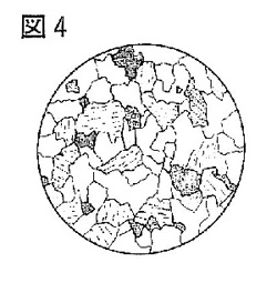 ある火成岩をルーペで観察したスケッチの図