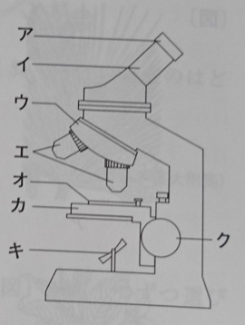 中学　理科　問題演習　顕微鏡の図