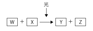 中学　理科　問題演習　光合成の関係図