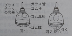 中学　理科　問題演習　肺と気管をゴム風船とガラス管でたとえた実験の図