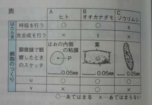 中学　理科　問題演習　生物と細胞のつくりの表